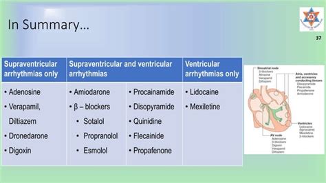 Drugs Used In Cardiac Arrhythmias