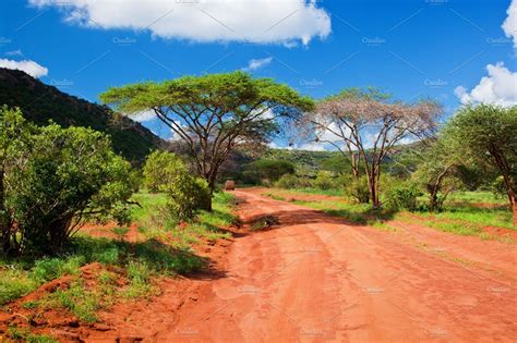 All you need to do is choose, download and edit! Savanna landscape in Kenya, Africa ~ Nature Photos ...