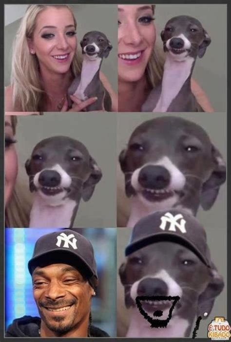 Jenna Marbles Kermit Looks Like Snoop Dogg Laughter Is Good For