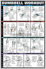 Workouts Chest And Biceps Pictures