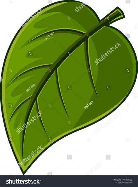 Cartoon Leaves Images Stock Photos And Vectors Shutterstock