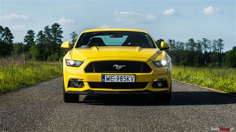 Also see pig, and piglet. Test Ford Mustang 5.0 V8 GT - DailyDriver.pl