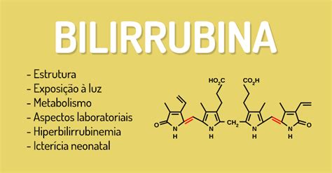 Tudo O Que Um Biomédico Precisa Saber Sobre A Bilirrubina Biomedicina