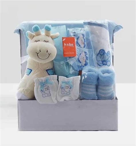 Have a new baby in the house or know someone who does? Giraffe Baby Gift Basket For Boys | Same Day Flower Delivery