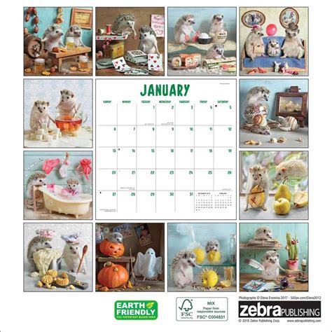 Hedgehogs! Calendar 2019 - Calendar Club UK | Wall calendar, Calendar, 2019 calendar