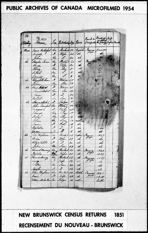 Harvey Settlement 1851 Census Records