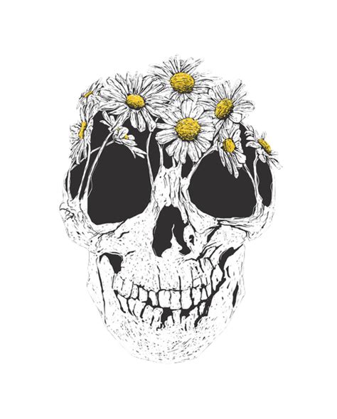 Keluarkan perlahan2 gambar hantu dari peti ini, kemudian taroh ditelapak tangan penonton. transparent skeleton | Tumblr