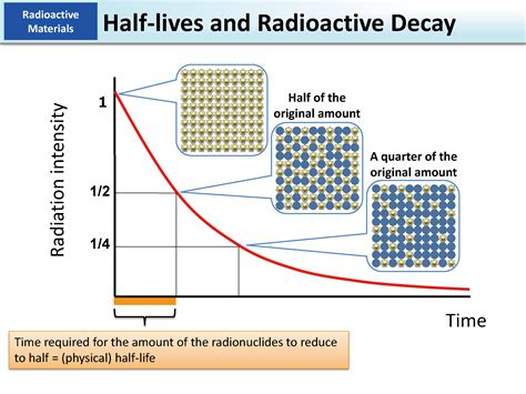 Nuclear Physics Why Is Radioactive Half Life Constant Physics