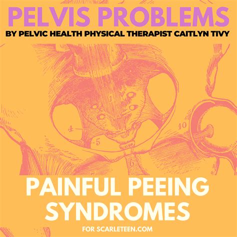 Pelvis Problems The Painful Peeing Syndromes Scarleteen