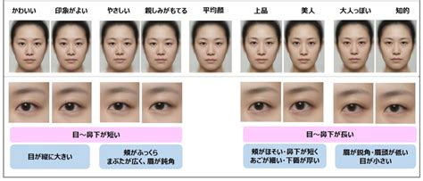 B 統計 日本人女性の 平均顔 と印象による顔の特徴を解析