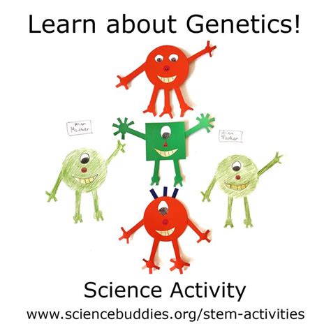 Investigate Alien Genetics Stem Activity Genetics Activities Stem