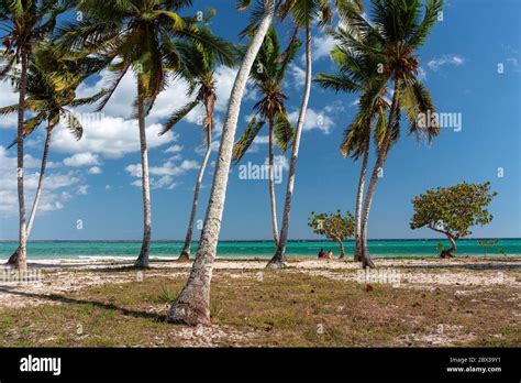 Cuba Zapata Peninsula Bay Of Pigs Playa Larga Stock Photo Alamy