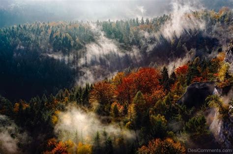Germany Mountains Fog Autumn Fall Forest Trees