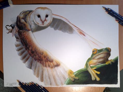 Colour Pencil Drawings Of Animals Pencildrawing2019