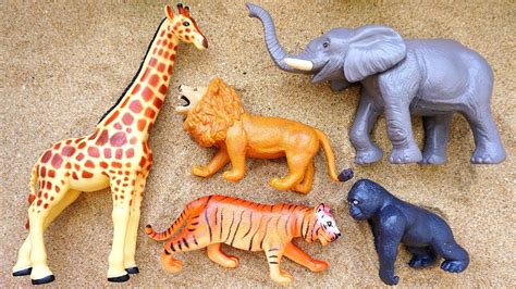 Learn Wild Zoo Animals Names For Children Educational Toys Real Animal