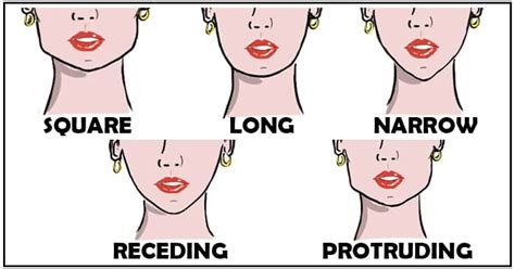 11 Different Types Of Chin Shapes Cleft Receding Double Pointy