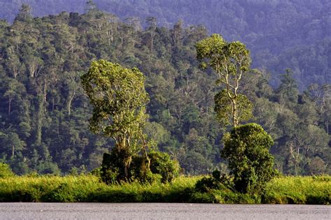 Khususnya kita yang masih ngeluh kerja itu2 aja dan. Lore Lindu National Park | Travel Central Sulawesi Indonesia