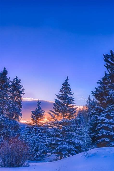 28 Stunning Winter Wonderlands Around The World Winter Landscape