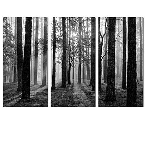 Black And White Landscape Canvas Wall Artmodern Wall Art Black And