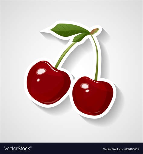 Cherry Sticker Cartoon Royalty Free Vector Image