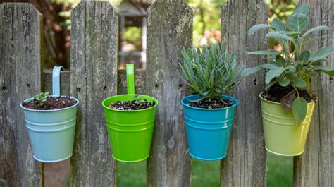 5 Stunning Vertical Organic Gardening At Home Ideas That Can Perk Up