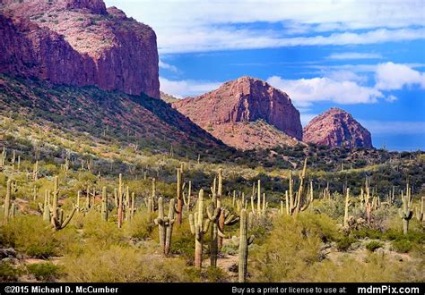 You should check out their website!! San Tan Mountains Picture 016 - February 22, 2015 from San ...