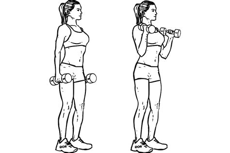Free Workout Beginner Upper Body Dumbbell Workout · Workoutlabs Fit