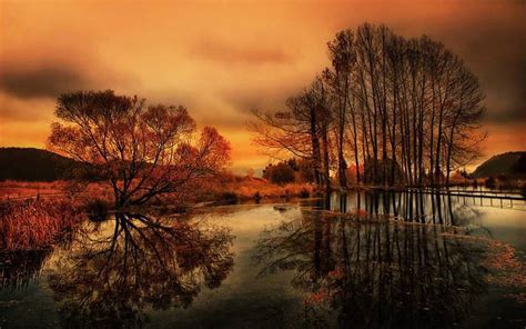 16120 views | 14535 downloads. 40 Autumn Scene Background Wallpaper for Desktop