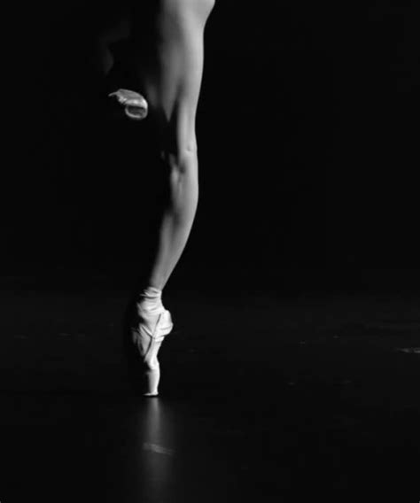 Ballet Beautiful May 23 2016 Zsazsa Bellagio Like No Other