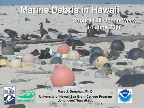 Ppt Marine Debris In Hawaii Powerpoint Presentation Id