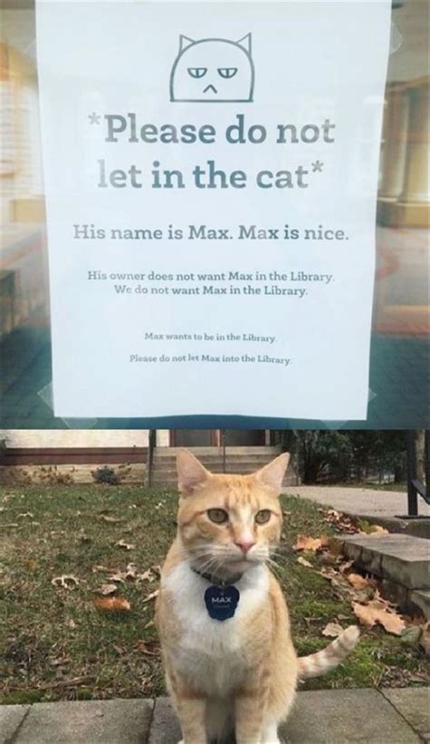 Funny Animal Memes Of The Day 22 Pics • 24 млн просмотров 5 месяцев назад.