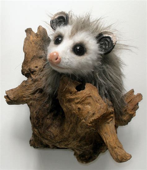 Piper O Possum By Artist Julie B Cactus Gallery La