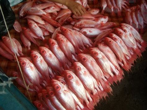 Pertama, ikan bakar yang dibakar kosong dan dimakan bersama air asam ataupun dicicah sambal kicap. orangkecilorangbesar: Jalan-jalan di Waterfront Kota Kinabalu