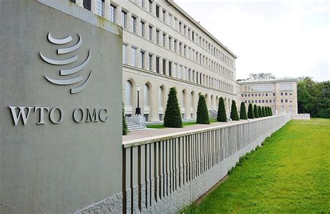 WTO là tổ chức gì WTO là viết tắt của từ gì Tìm hiểu về WTO