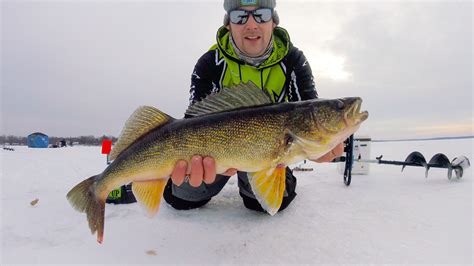 Biggest Walleye Through The Ice Ice Fishing Forum Ice Fishing
