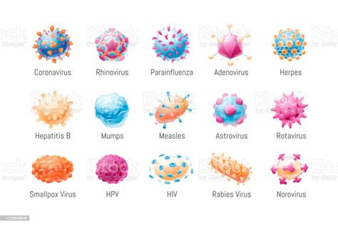 Vector Set Of Common Viruses Microbiology Models Of Pathogens Vector