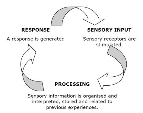 Sensory Integration Therapy For Children With Autism