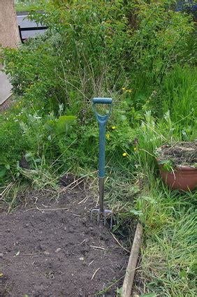 How do i kill the grass around my roses but not kill the roses or hurt them at all? How to Kill Grass in a Garden Without Chemicals | Garden ...