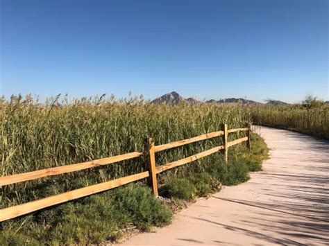 Best Hikes And Trails In Clark County Wetlands Park Alltrails