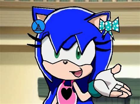 Rose Hedgehog Sonic Girl Fan Characters Image 21776904 Fanpop