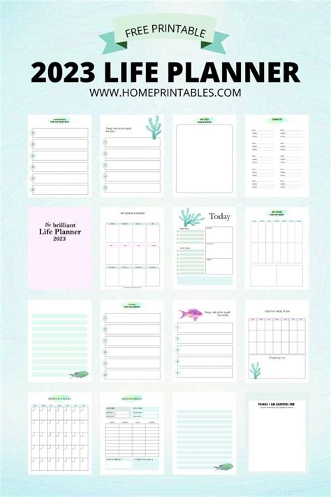 Free Printable Calendars And Planners 2023 And 2024 Free Printable