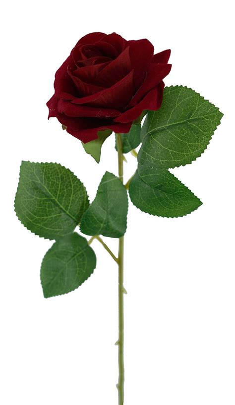 Velvet Rose Qd1795 Red Red Roses