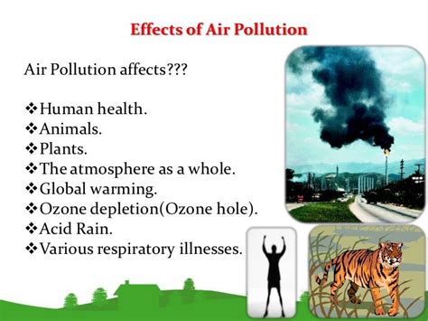 5 Info How Chemical Pollution Affects The Environment With Video
