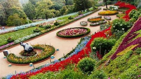 Mawar adalah bunga yang sangat cantik. Untuk Kamu Yang Romantis, Berikut 10 Taman Bunga Mawar ...