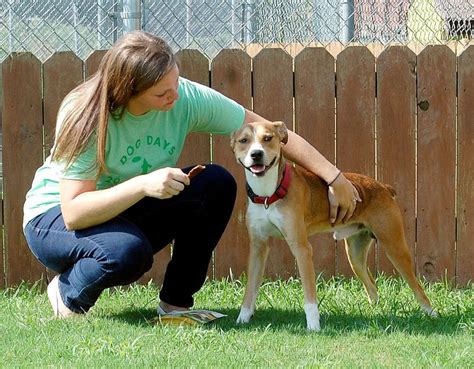 Simmons donates dog treats to local shelters