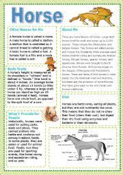 Pinterest The Worlds Catalog Of Ideas 78 Best Images About Pony Camp