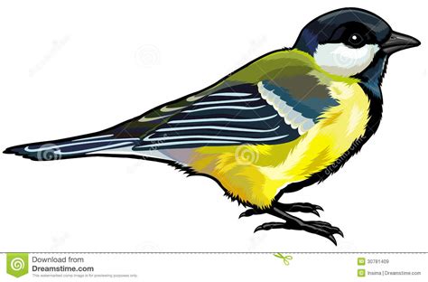 Titmouse Clipart 20 Free Cliparts Download Images On Clipground 2023