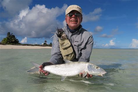 Understanding The Fish Species Of The Seychelles Sportquest Holidays