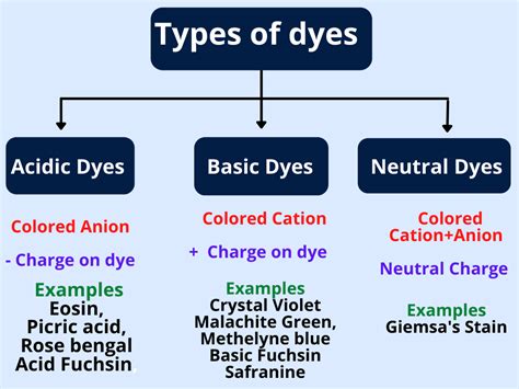 Different Types Of Dyes And Stains In Microbiology Rbr Life Science
