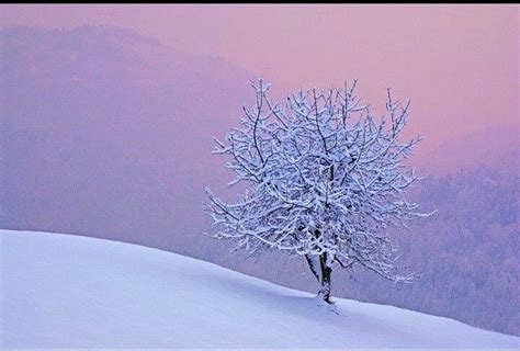 So Beautifully Zen Nature Photography Winter Sparkle Colorful
